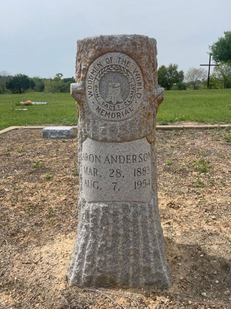 A. P. Anderson's grave. Photo 1